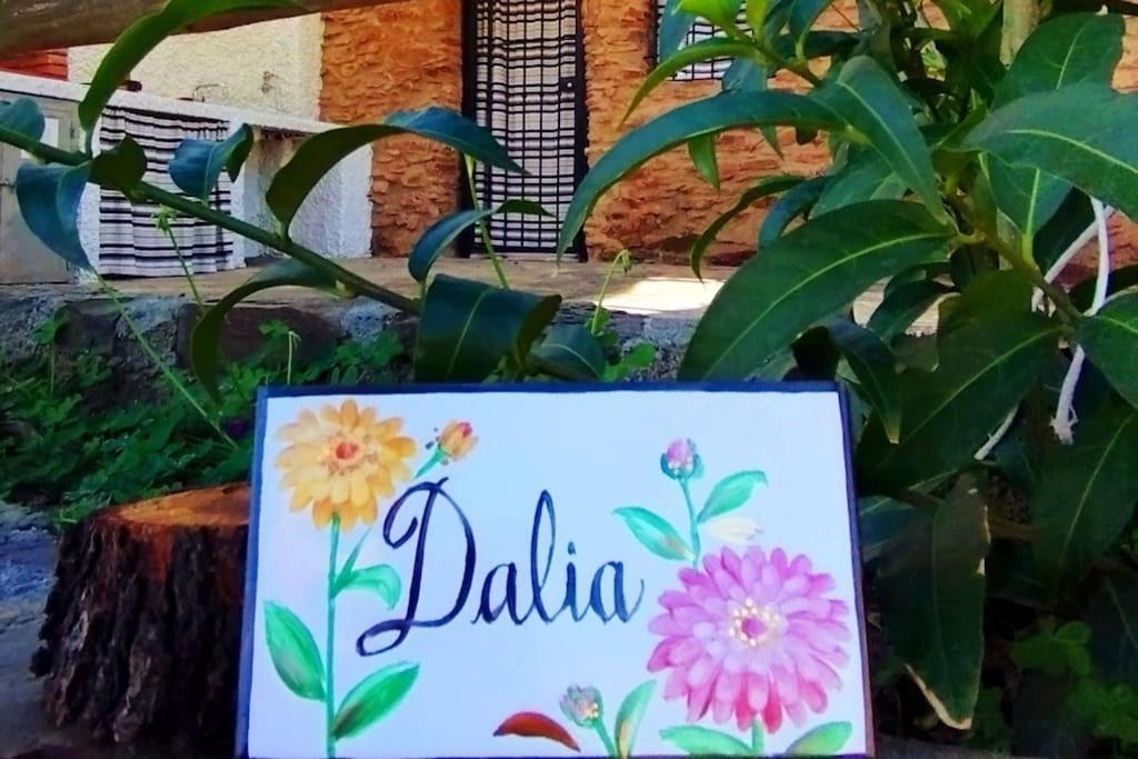 Paraje La Suerte Apartamento Dalia Adra Exterior foto